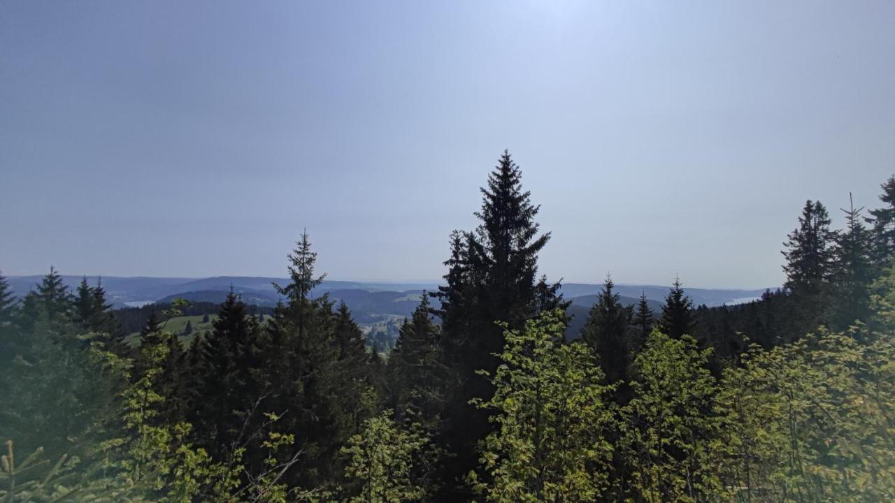 Ferienwohnung Am Berg Feldberg  Exterior foto